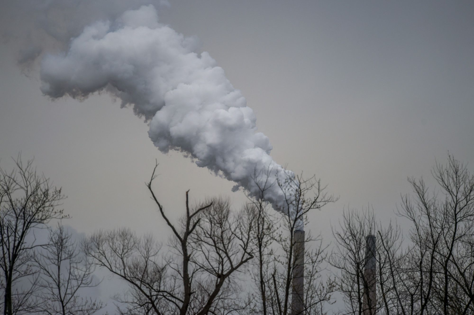 Climat : la baisse des émissions de gaz à effet de serre en France a perdu son élan en 2024 (-1,8%), selon l’organisme Citepa