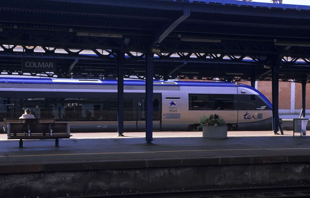 Alsace : Un homme entre la vie et la mort après avoir été poignardé dans un train à Barr