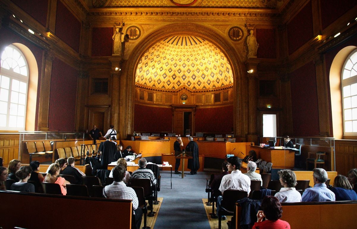 Toulouse : Trois jeunes risquent la perpétuité pour avoir tué « La Dose », leur fournisseur de drogue