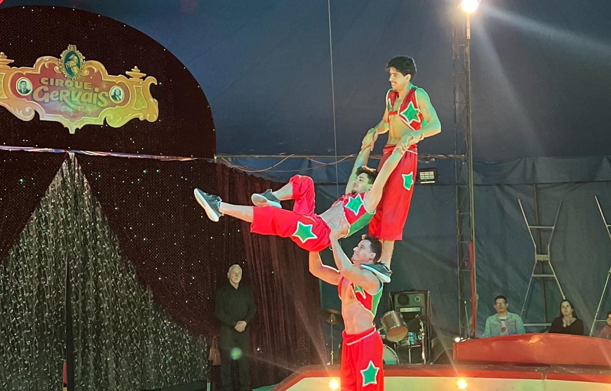 Loire-Atlantique : « Une erreur humaine » blesse une dizaine de spectateurs dans un cirque