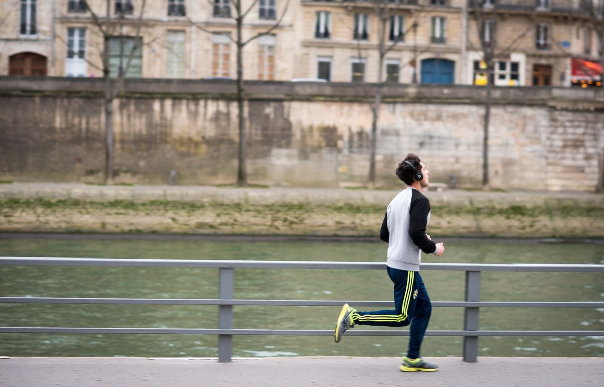 Paris : Un joggeur jeté dans la Seine par un Allemand ivre, un autre passant blessé