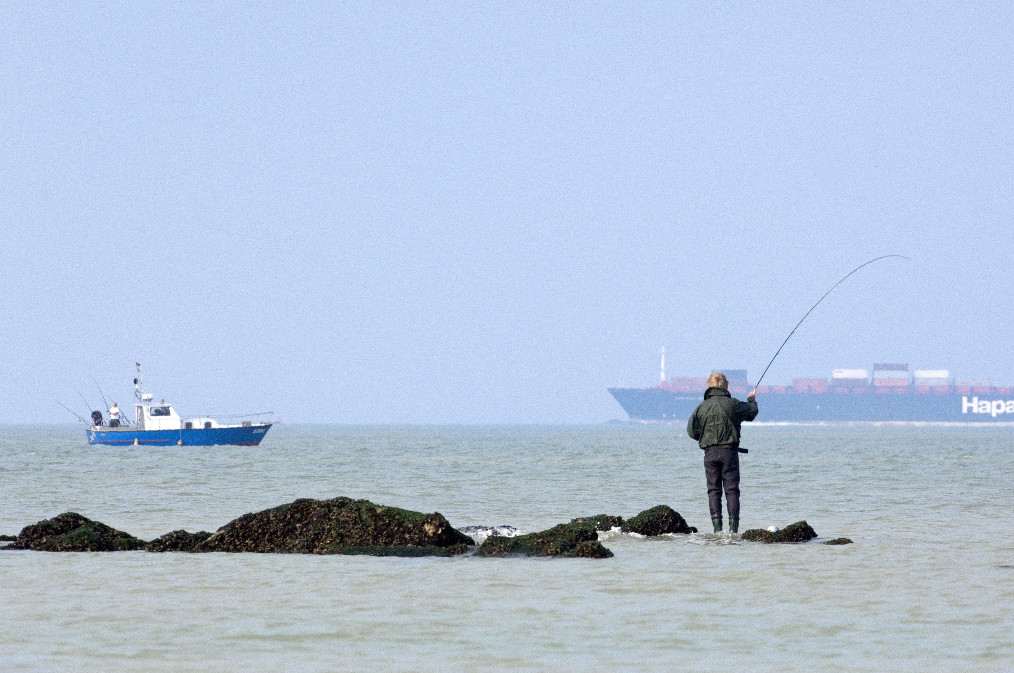 Pêche récréative en mer : des restrictions de plus en plus strictes pour 3,8 millions de Français