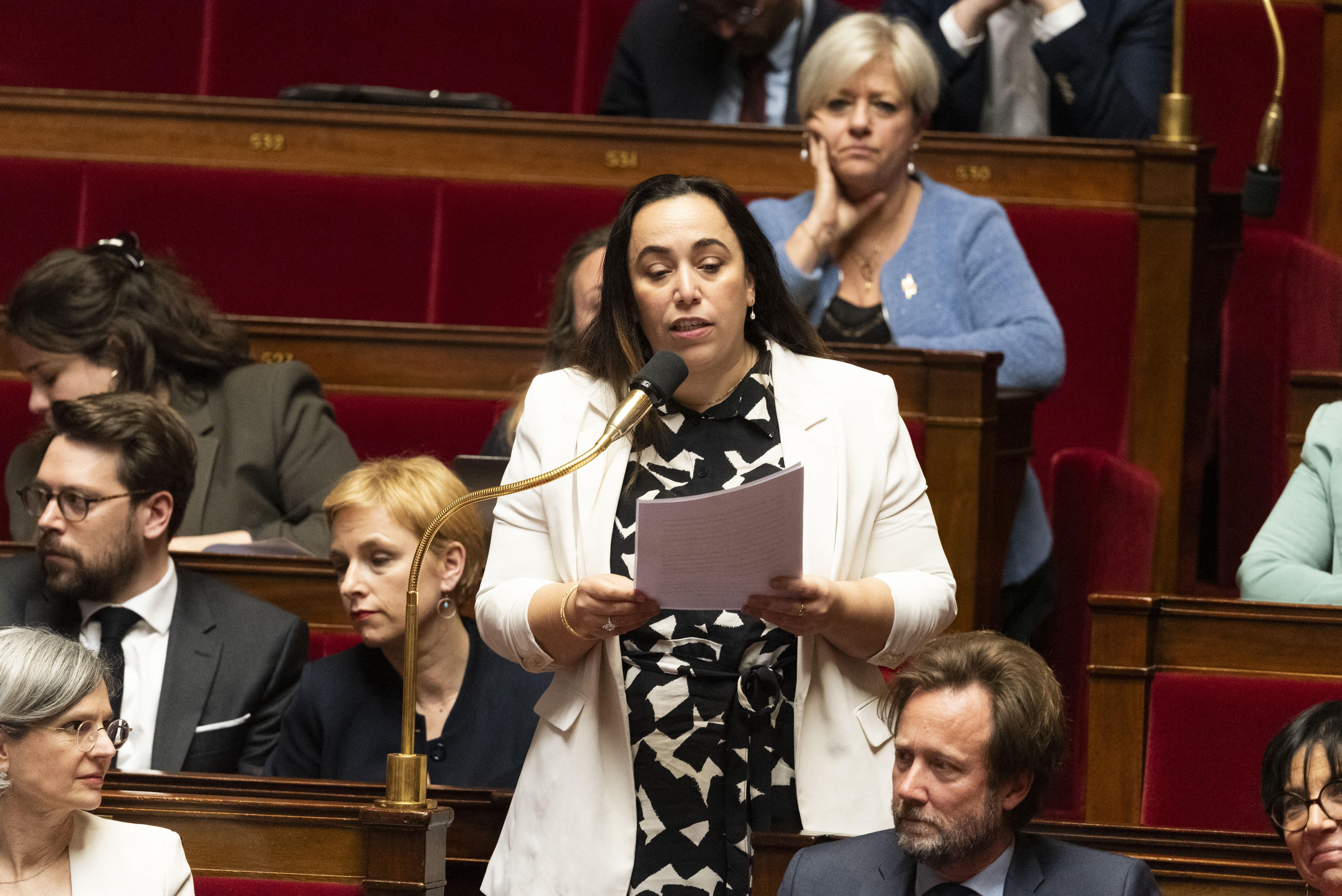 Assemblée nationale : quand les députés débattent du frelon asiatique en pleine tempête géopolitique
