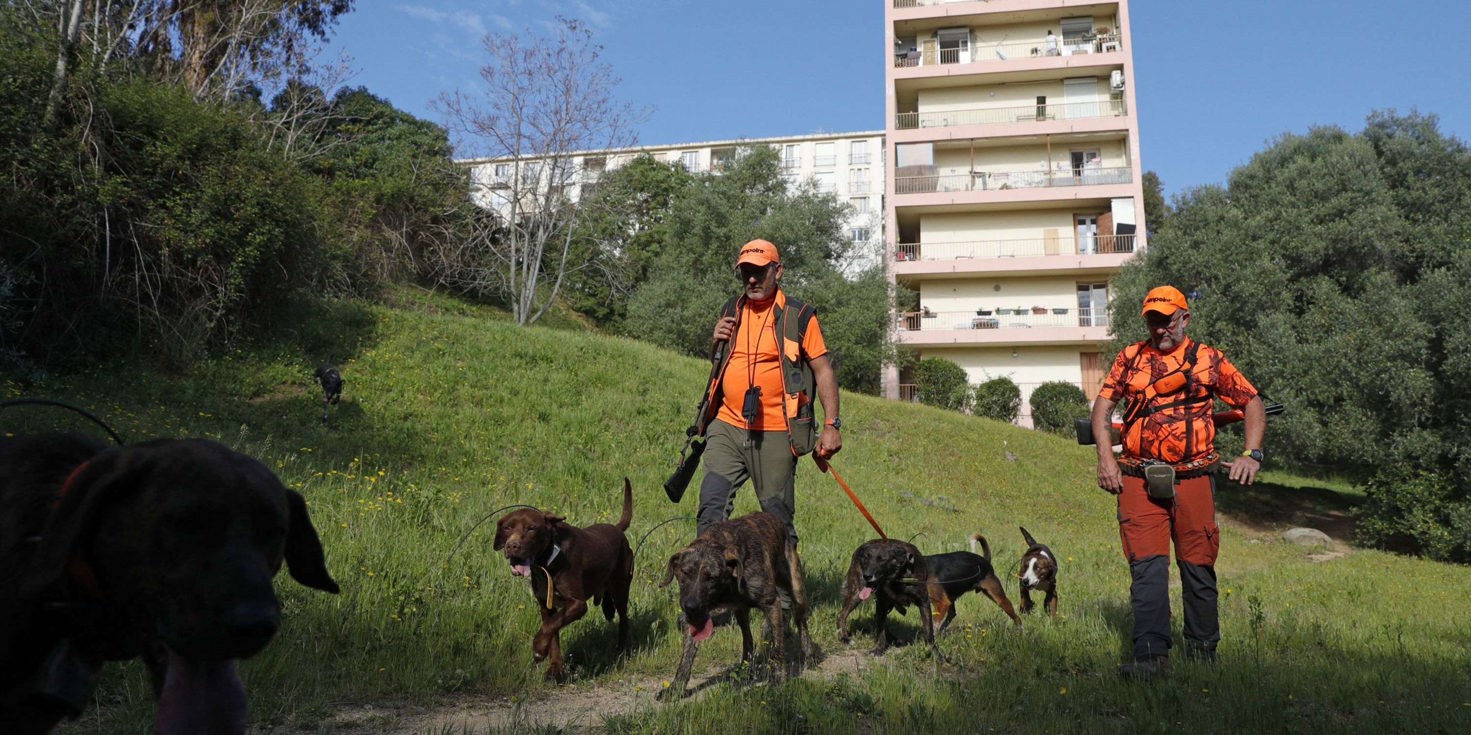 Les habitants de Corse appelés à «déposer les armes»