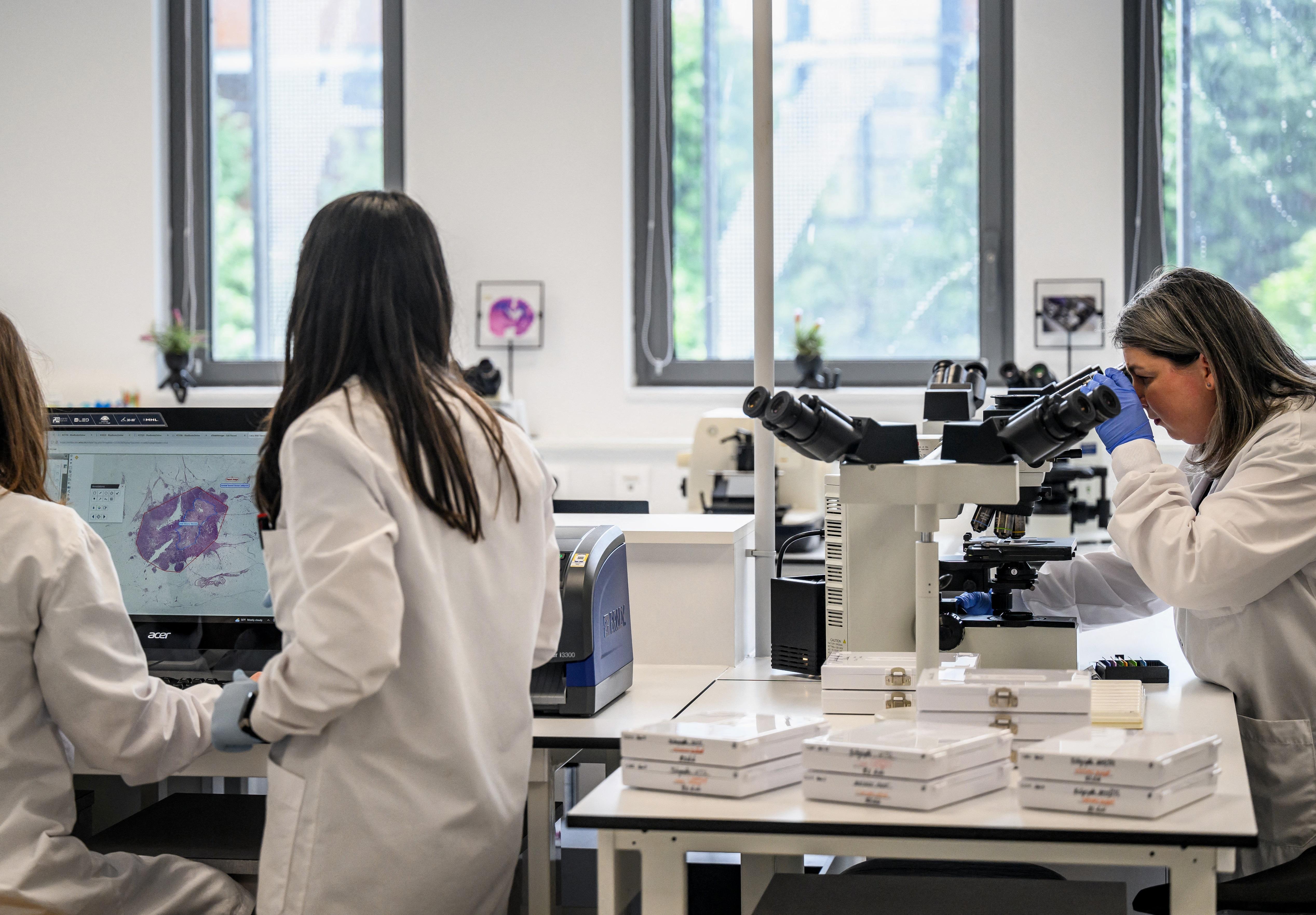 Astrologie, rejet du nucléaire… Face aux nouveaux obscurantismes, la politique française a besoin de davantage de scientifiques