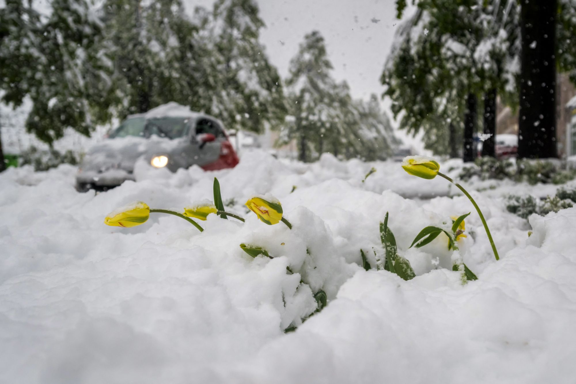 Vacances de Pâques : de la neige et des perturbations à prévoir dans les Alpes