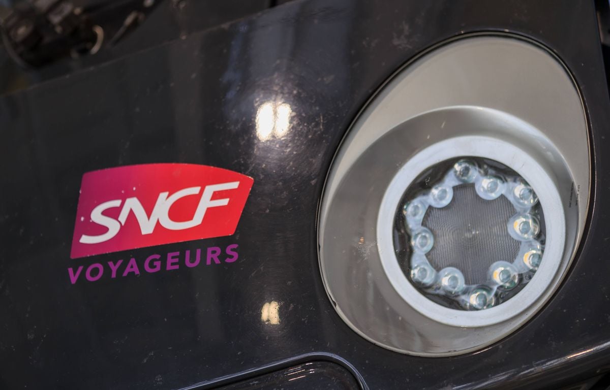 Isère : Une femme survit au passage d’un train sur elle