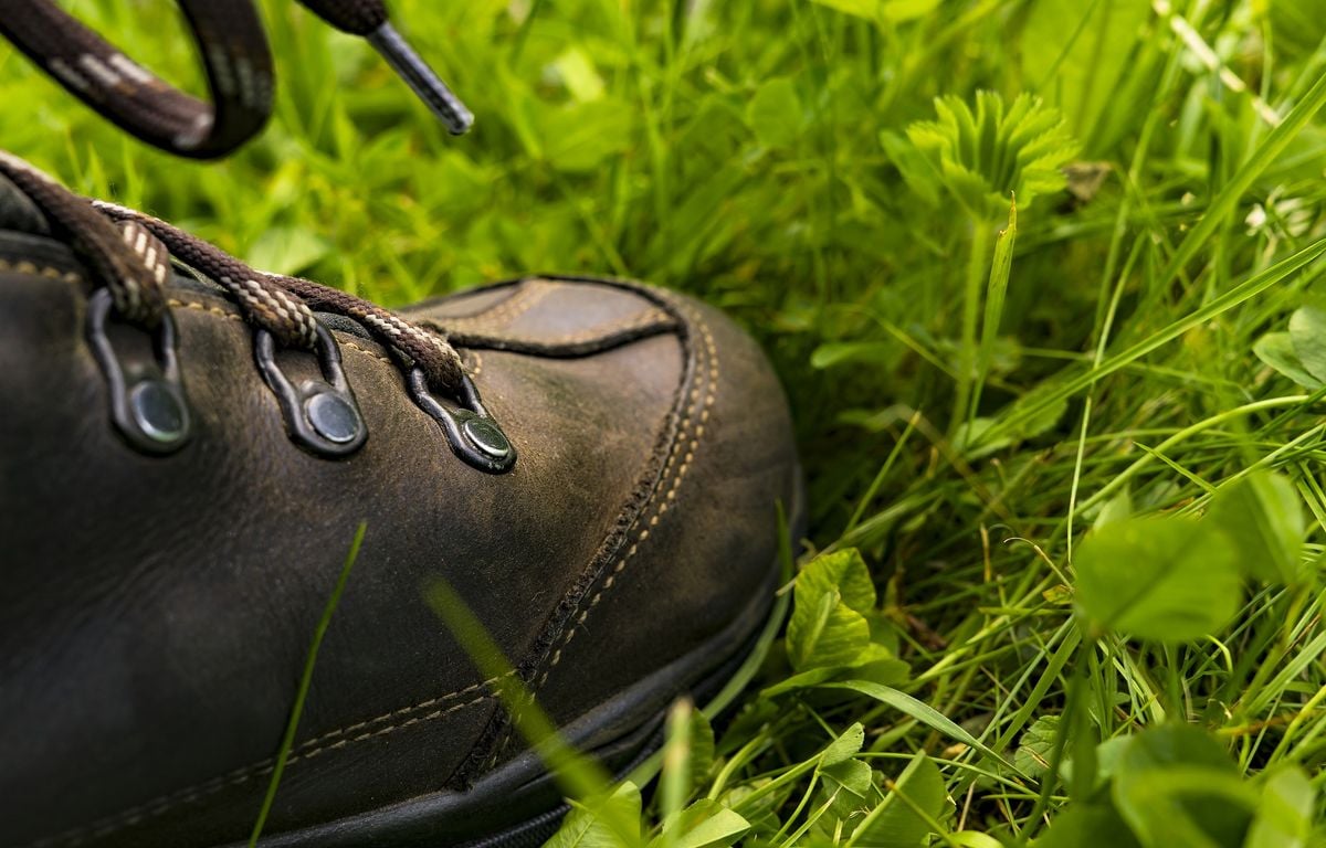 Etats-Unis : Une mère fait une chute mortelle en pleine randonnée sous les yeux de ses enfants
