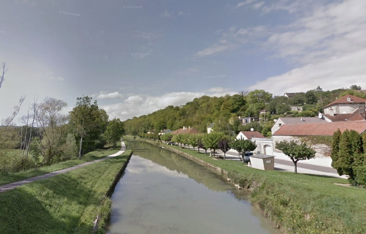 Bourgogne : « C’est inadmissible »… Le cadavre d’un chien ligoté retrouvé dans un canal