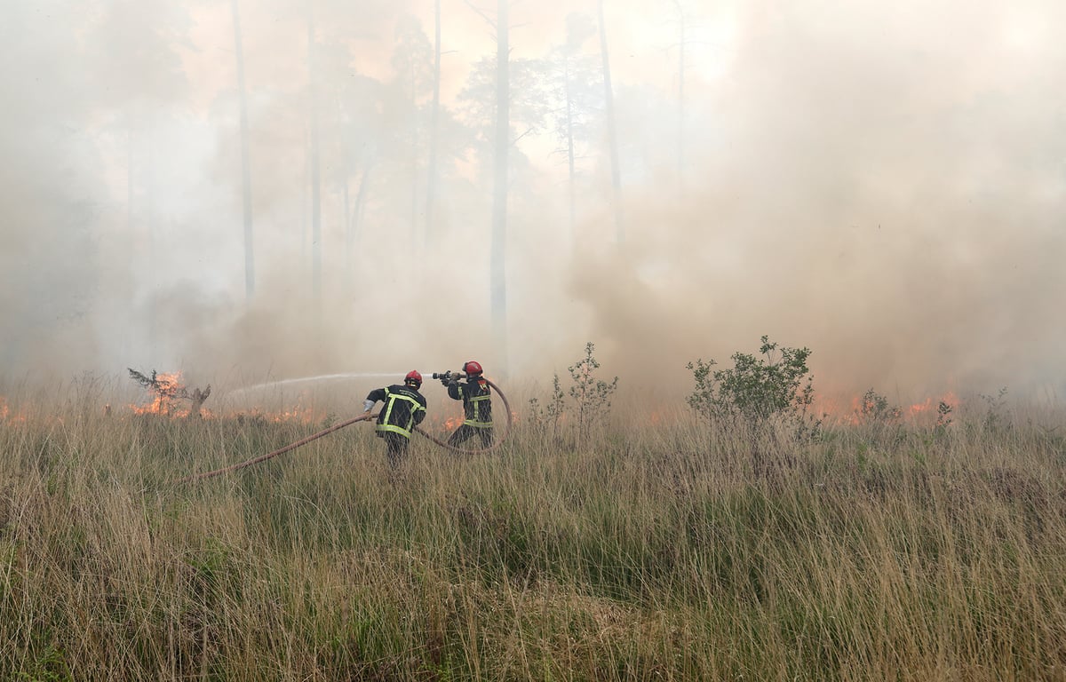 Ille-et-Vilaine : « Le feu est maîtrisé »… Un violent incendie se déclare lors d’un exercice militaire