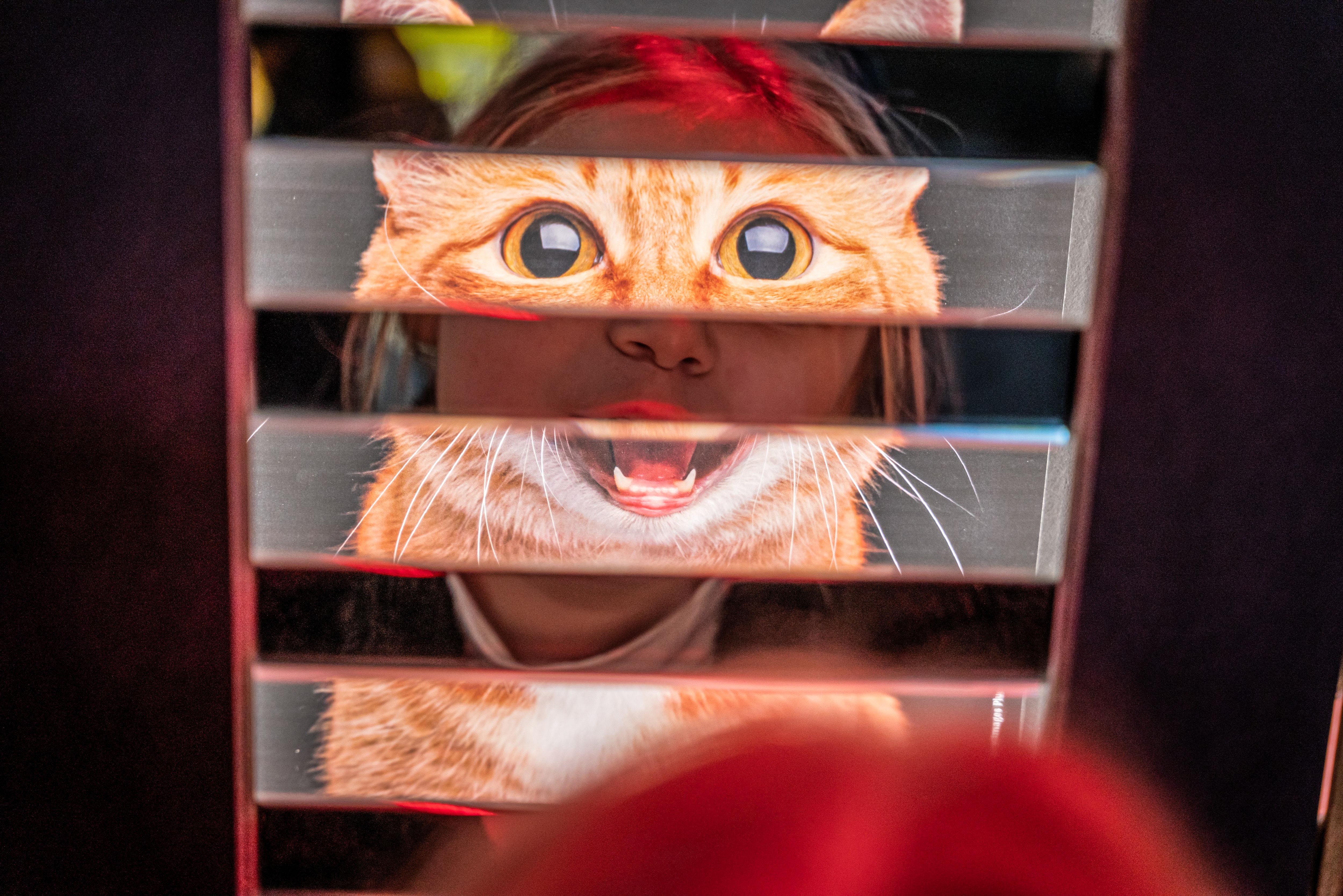 Exposition : Chiens et chats prennent leurs quartiers à la Cité des sciences