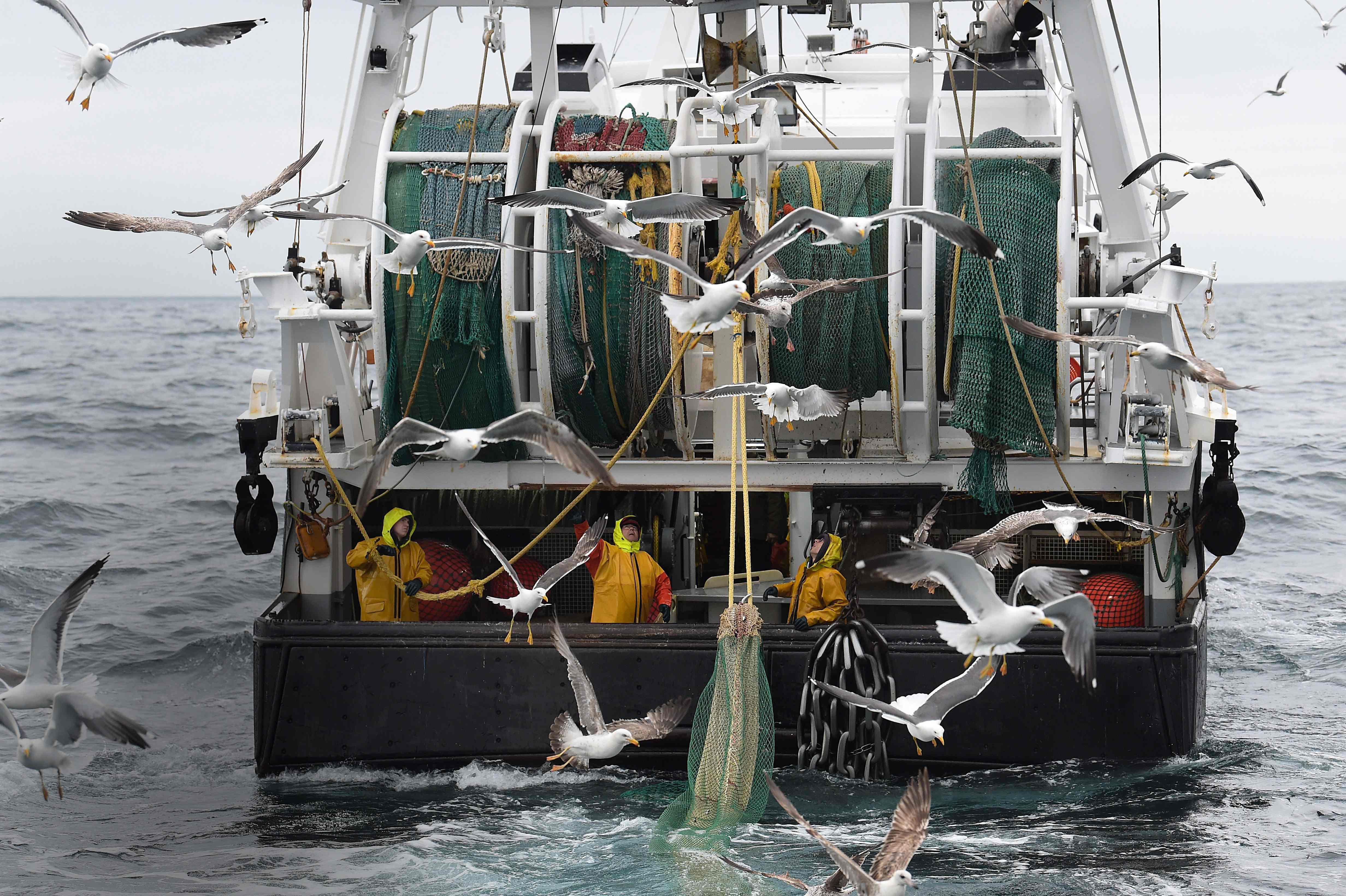 Pêcheurs contre ONG : le chalut de la discorde
