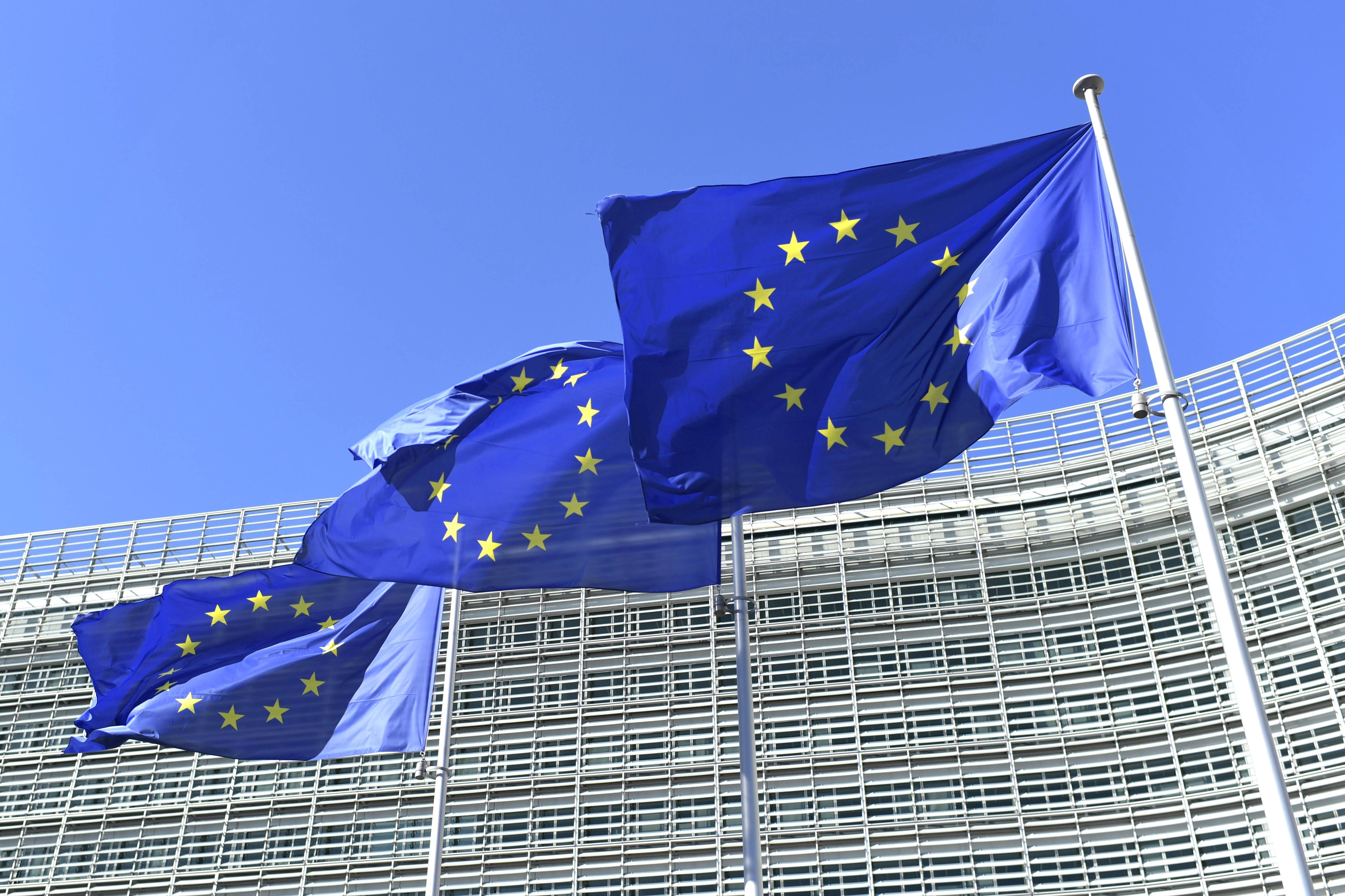 Financement des ONG : où sont passés les 7 milliards d’euros de subventions de l’UE ?