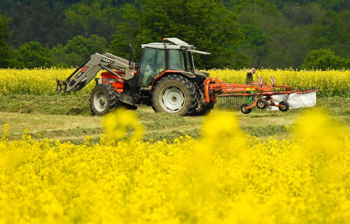 Normandie : Des frères s’attaquent à coups de tracteur et de fourche pour une histoire de champ
