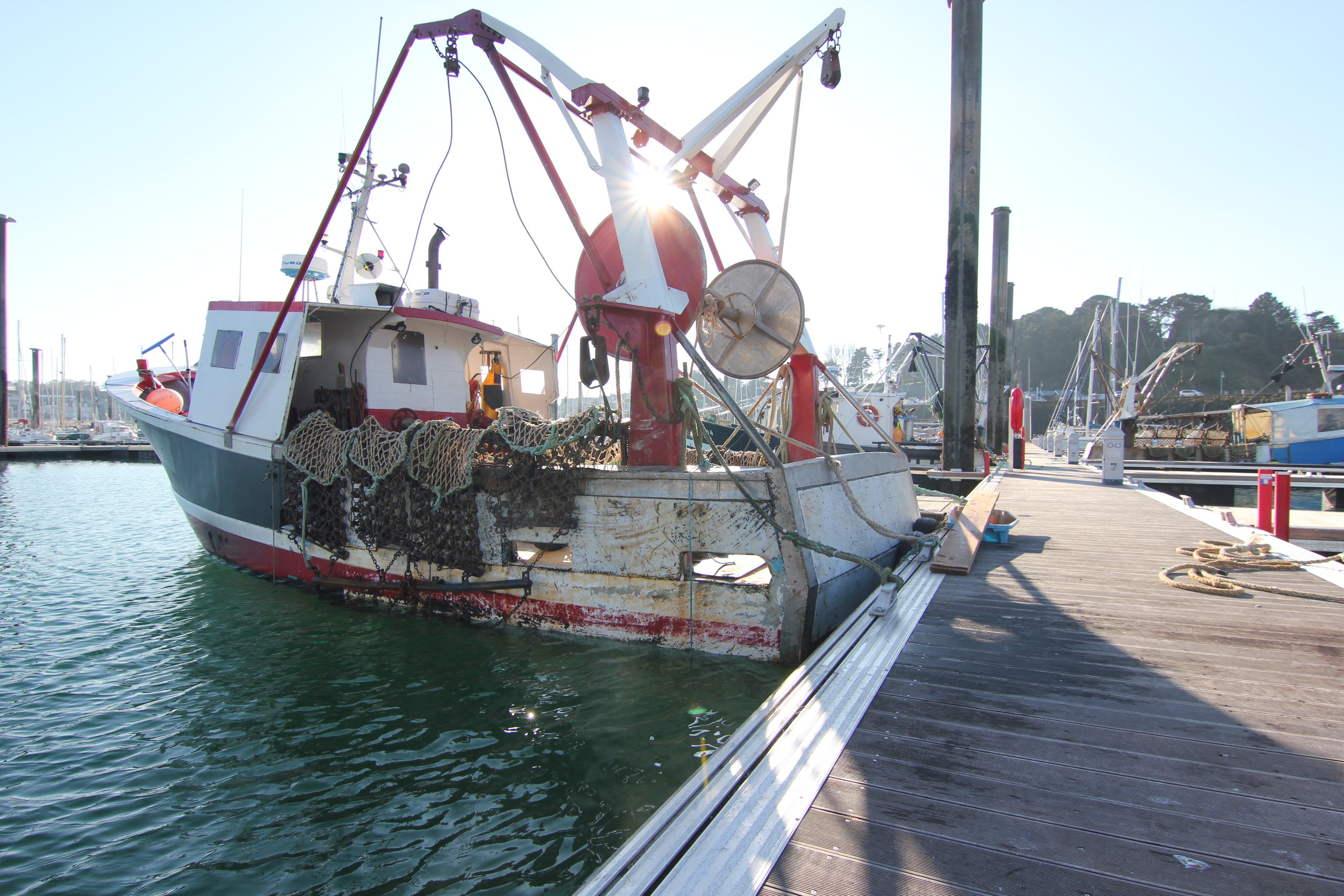 Ces naufragés ont passé 55 jours dans l’océan Pacifique avant d’être sauvés par des pêcheurs