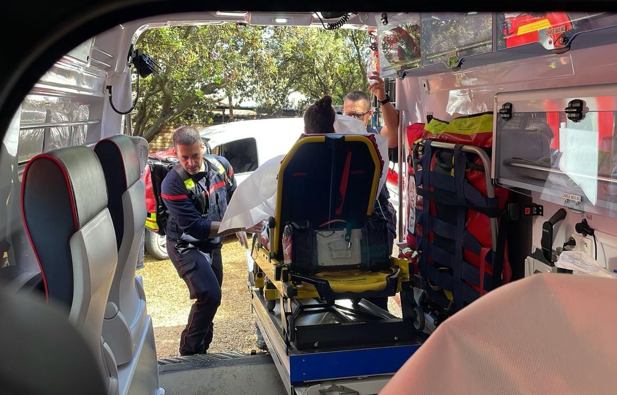 Bouches-du-Rhône : Foudroyées dans un zoo, 15 personnes prises en charge, dont une en urgence absolue