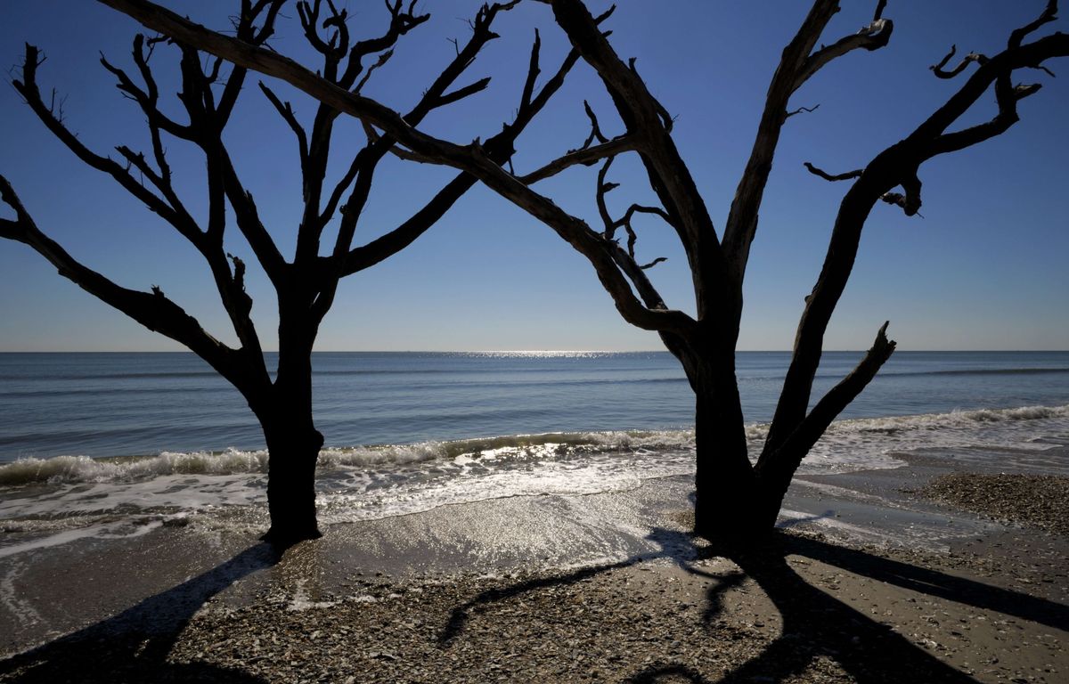 Etats-Unis : Des touristes découvrent des os vieux de 200 ans sur une plage de Caroline du sud