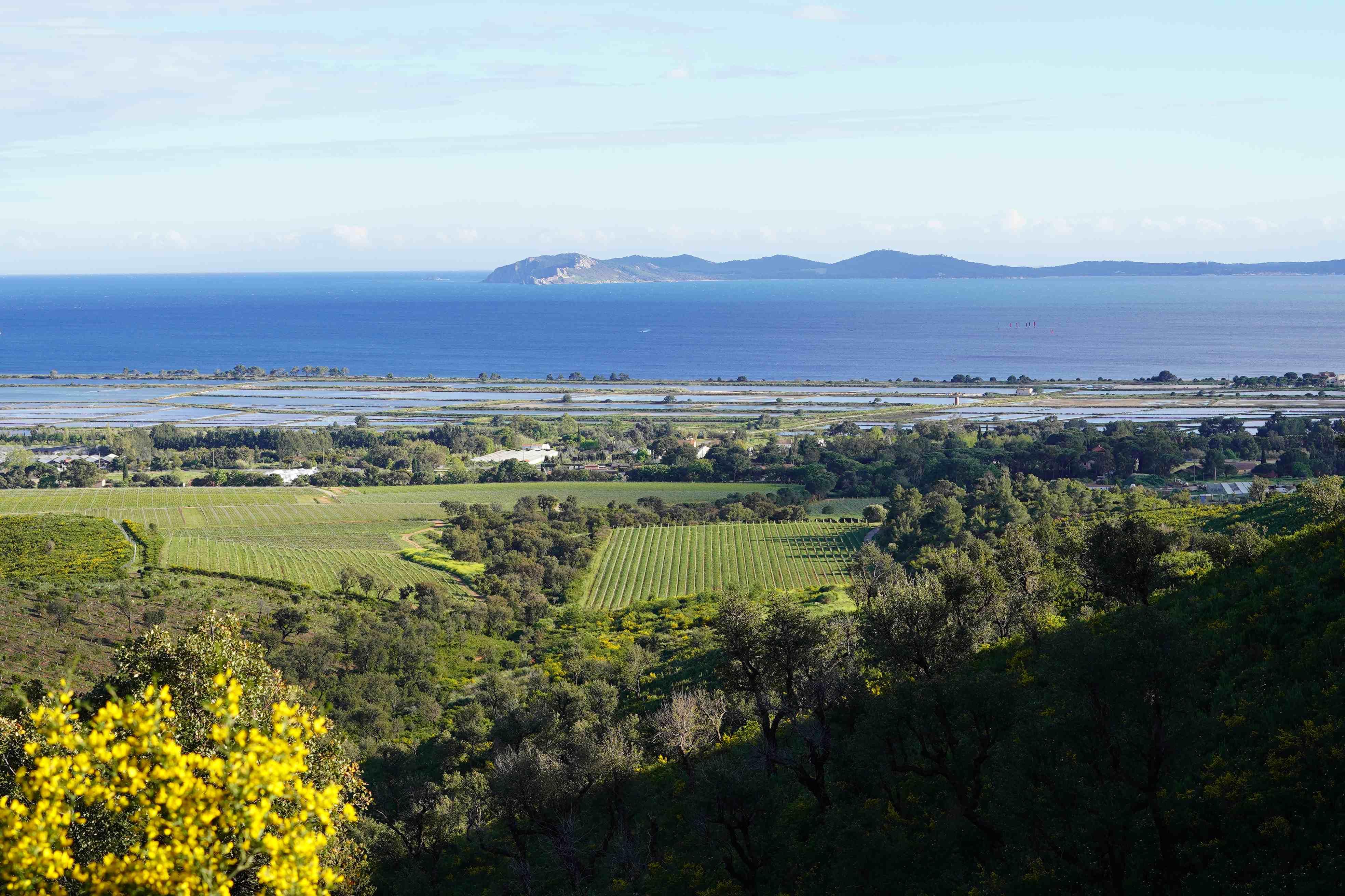 Château Galoupet, un rosé très vert
