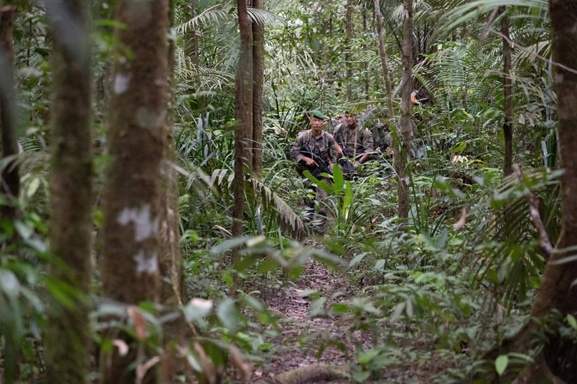 Qu’est-ce que l’opération Harpie ?