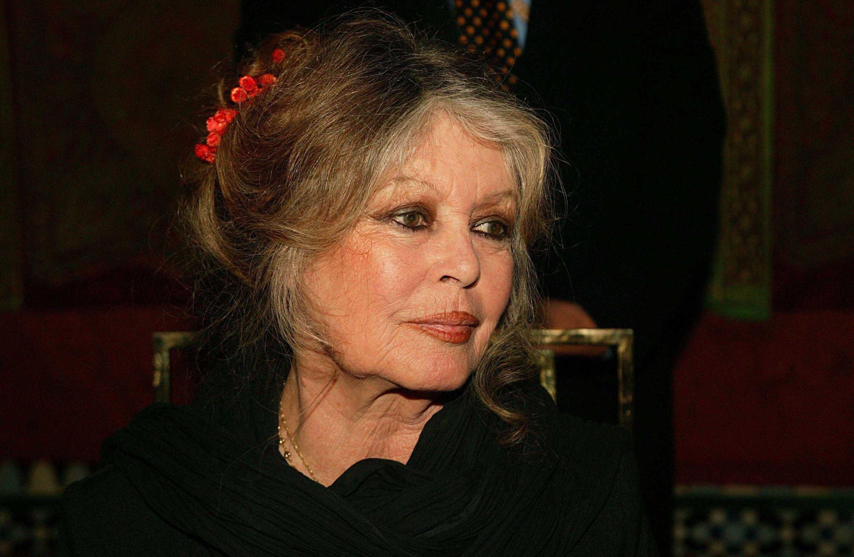 «Je pars en guerre» : Brigitte Bardot exhorte le gouvernement à bannir la chasse à courre