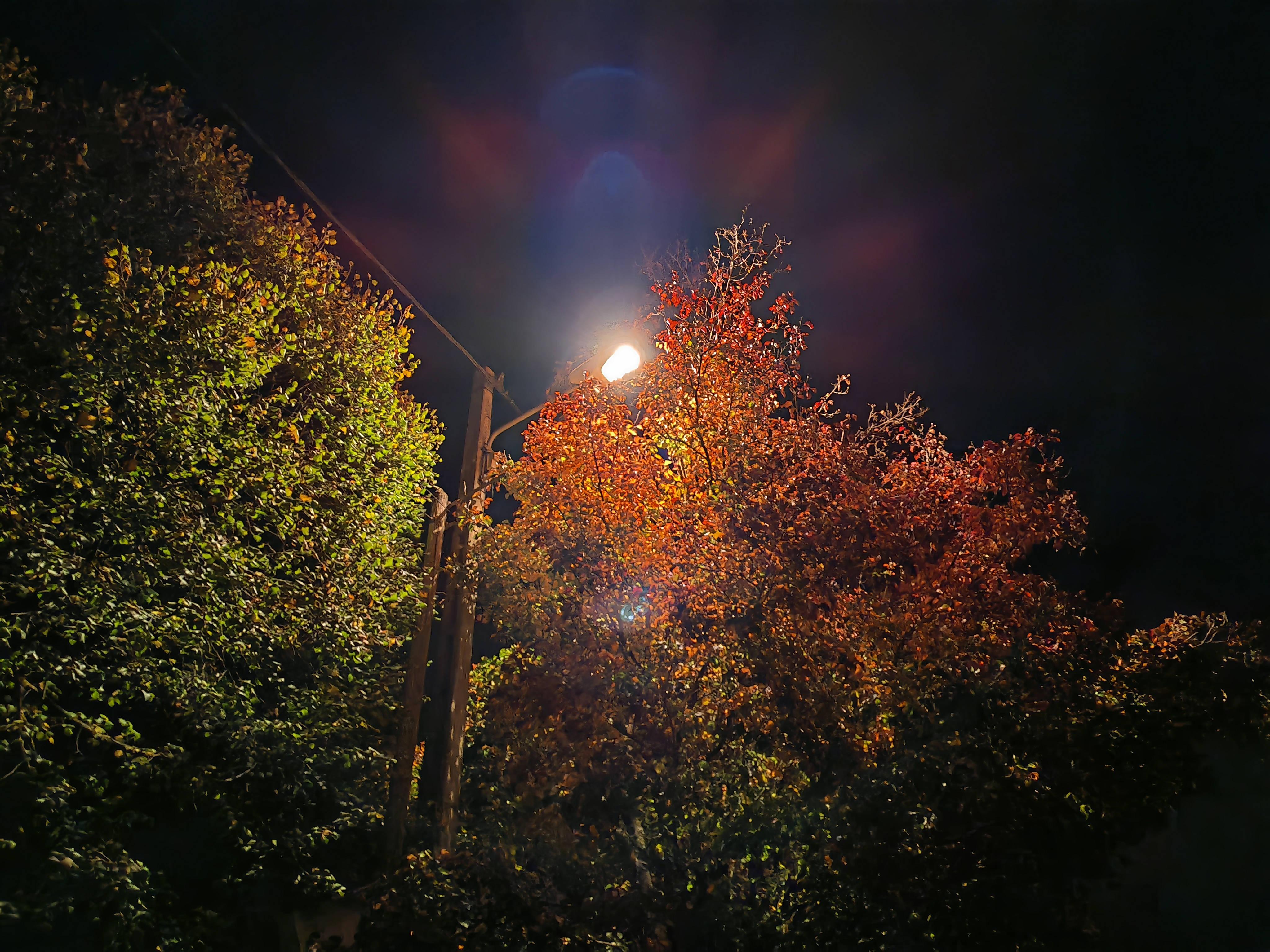 «Je vais passer pour un réac même si je suis de gauche» : un maire breton rebranche l’éclairage public de nuit contre l’insécurité