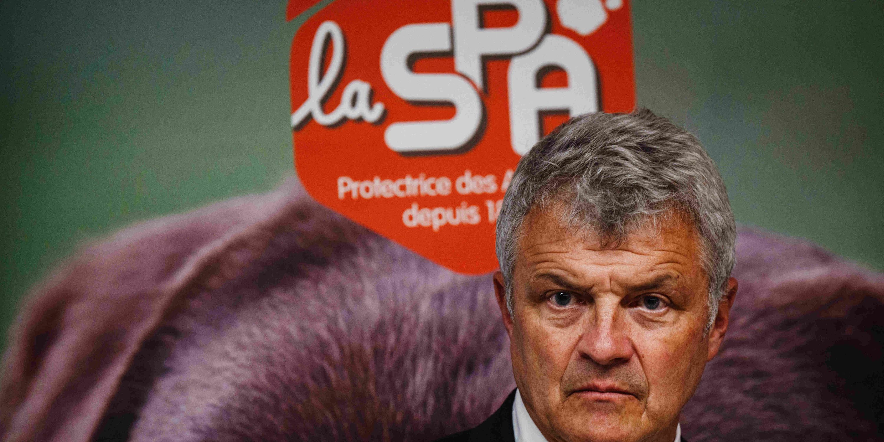 Vague de chaleur : «Les animaux souffrent autant que nous de la chaleur», rappelle le président de la SPA qui invite à la «vigilance»
