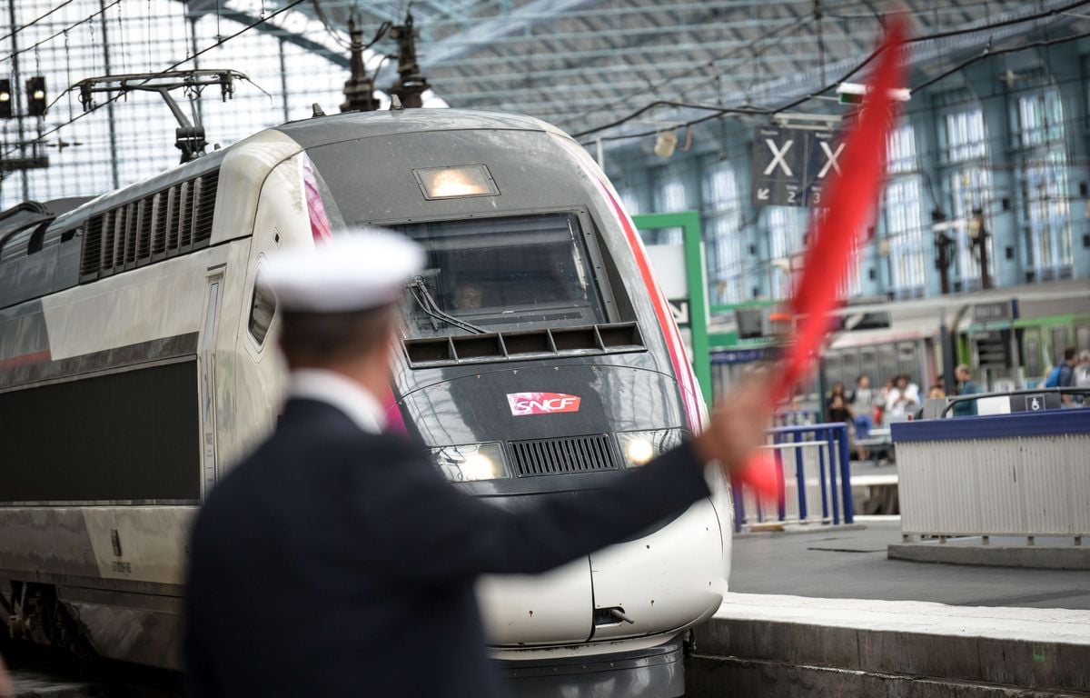 TGV : Plus de six heures de retard pour un Bordeaux-Paris ayant percuté une personne sur les voies