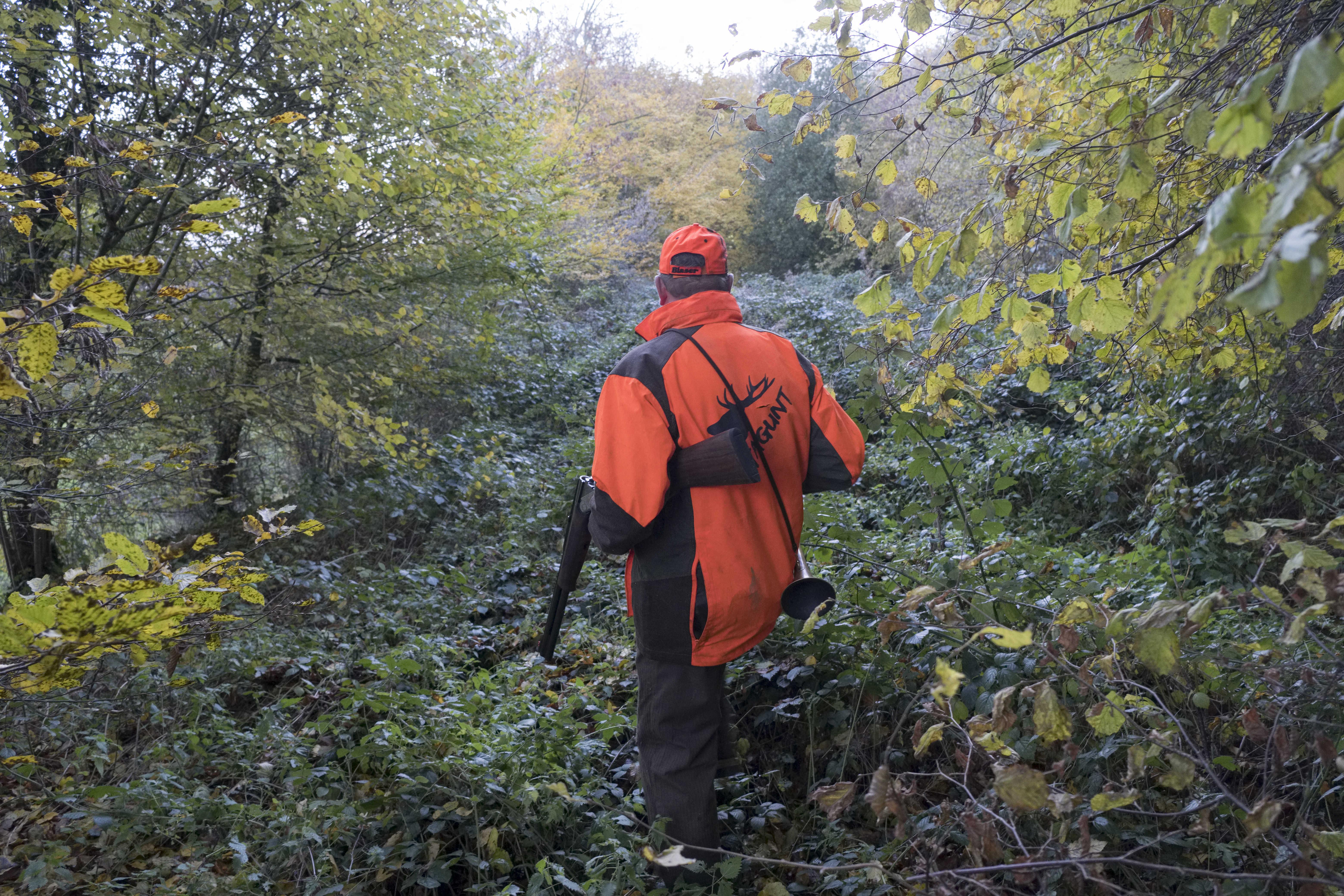 Gibier d’eau : le gouvernement doit cesser d’ignorer les chasseurs