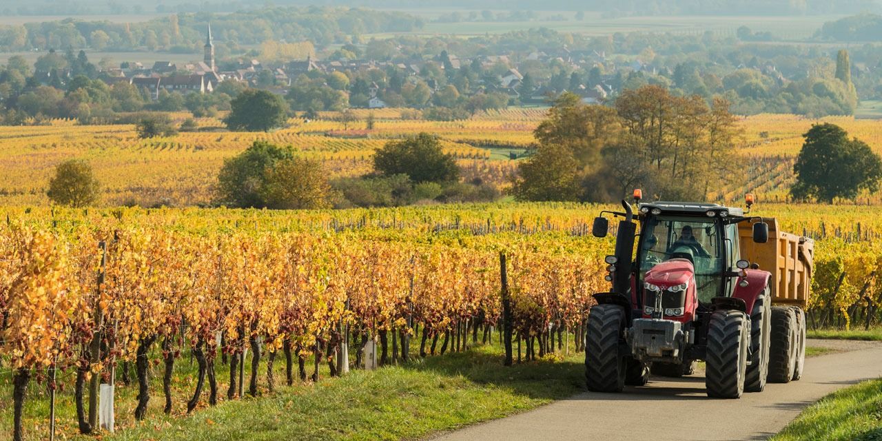 Mercosur : un accord qui met en difficulté «l’ensemble de la production agricole française», dénonce Hervé Lapie, secrétaire général de la FNSEA