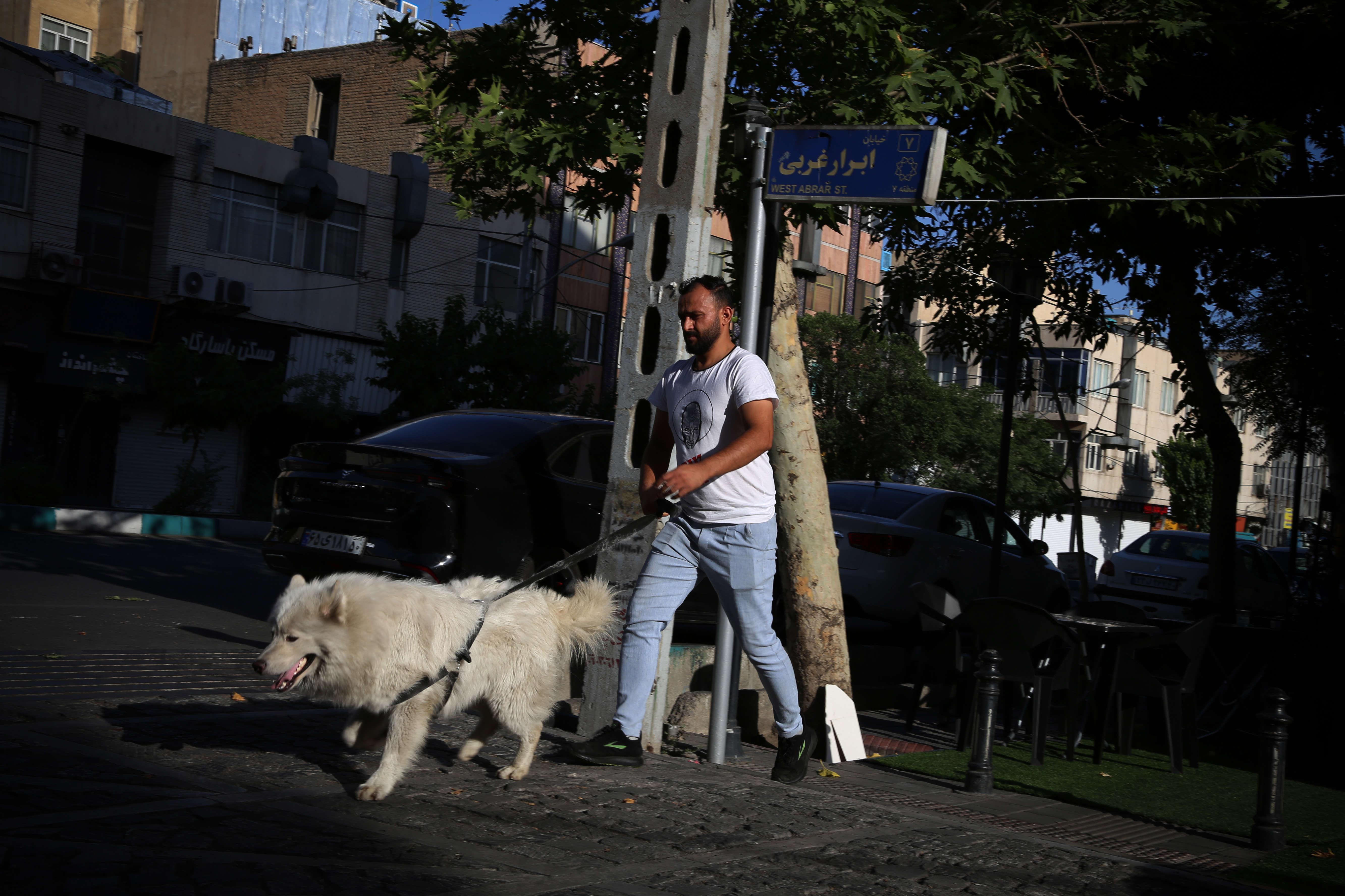 «Pratique culturelle des non-musulmans», «ordre public» : plusieurs villes d’Iran interdisent de promener son chien
