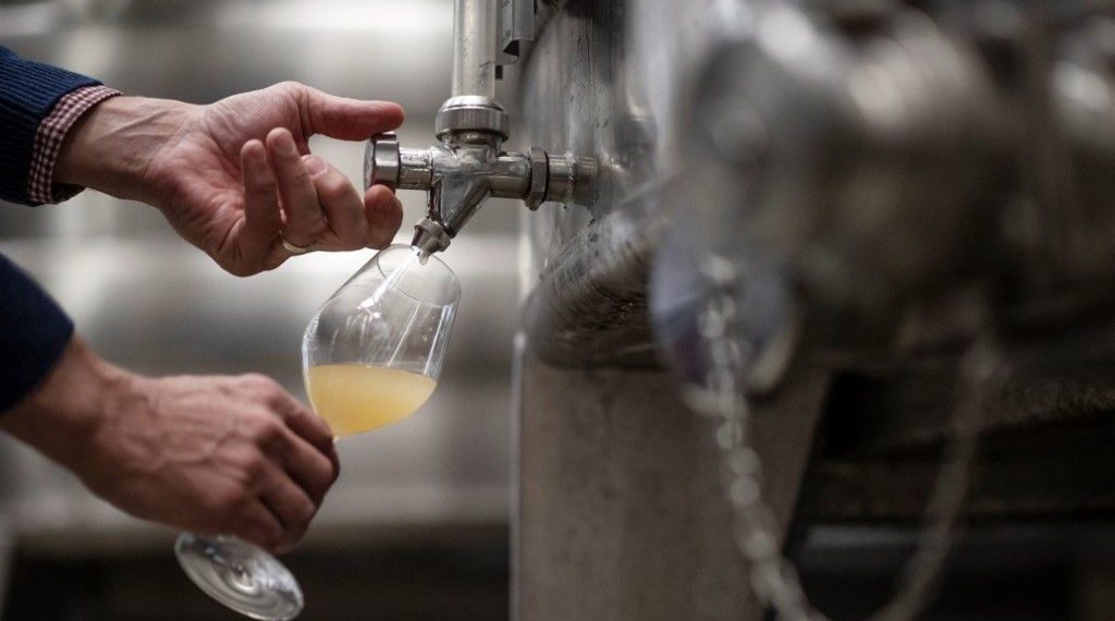 Droits de douane : les vins français toujours pas fixés sur leur sort, les viticulteurs inquiets