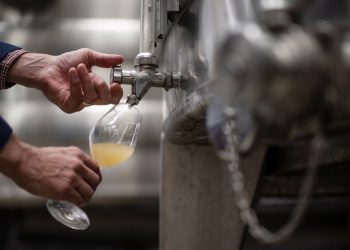 Droits de douane : les vins français toujours pas fixés sur leur sort, les viticulteurs inquiets