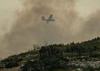 Après avoir parcouru plus de 300 hectares, un incendie est désormais fixé dans l’Hérault