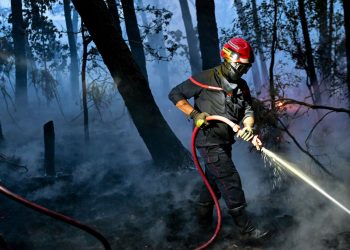 Incendies à Martigues, dans la forêt de Brocéliande, à Fréjus… Des feux sous contrôle mais une vigilance maintenue