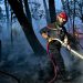 Incendies à Martigues, dans la forêt de Brocéliande, à Fréjus… Des feux sous contrôle mais une vigilance maintenue