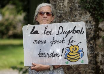 Agriculture : que contient la loi Duplomb ?