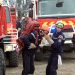 Var : face aux risques d’incendies, les pompiers en alerte