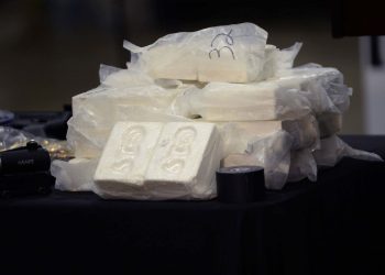 Vosges : Une femme interpellée avec 40 kilos de cocaïne en provenance des Pays-Bas