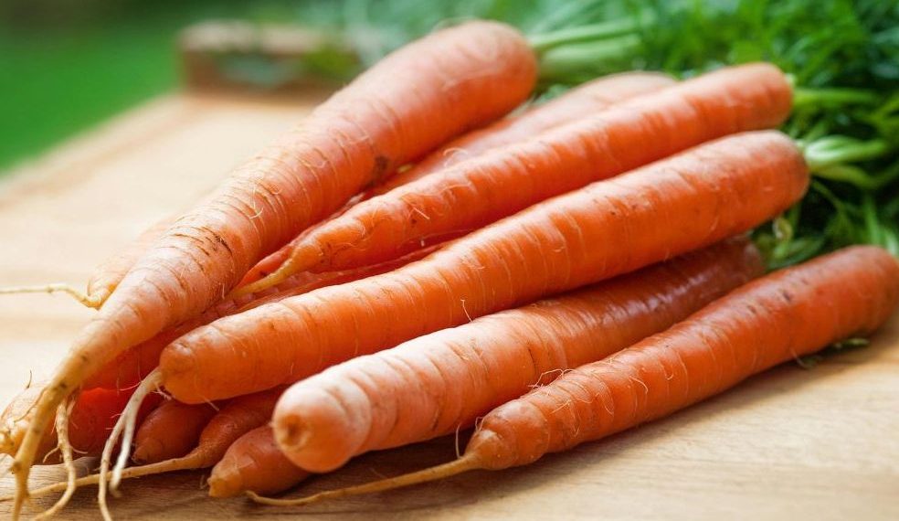 Botulisme près de Cholet : Six personnes tombent malades après avoir mangé des carottes en bocal