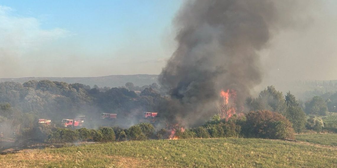 Incendie près de Montpellier : Un violent feu parcourt 320 hectares au sud de la ville