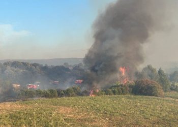 Incendie près de Montpellier : Un violent feu parcourt 320 hectares au sud de la ville