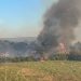 Incendie près de Montpellier : Un violent feu parcourt 320 hectares au sud de la ville