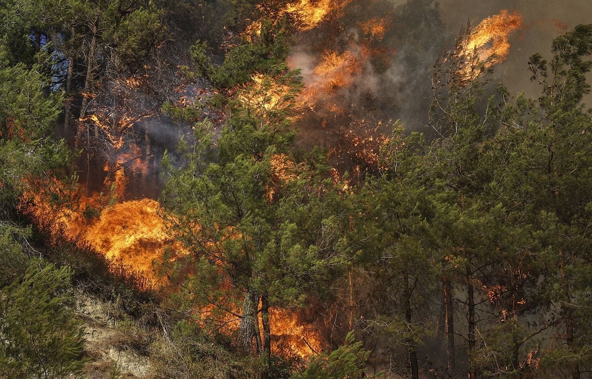 Hérault : Le feu est « maîtrisé » après avoir ravagé 400 hectares de forêt et de végétation