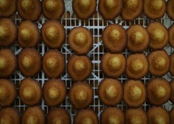 Mont-de-Marsan : Un étudiant testé positif à l’alcool après avoir uniquement mangé des madeleines