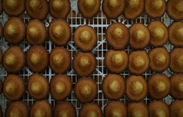Mont-de-Marsan : Un étudiant testé positif à l’alcool après avoir uniquement mangé des madeleines