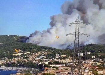Bouches-du-Rhône : Un important départ de feu de forêt en cours à Martigues