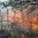 Bretagne : Le feu fixé à Brocéliande, les renforts et la pluie attendus pour tout sécuriser