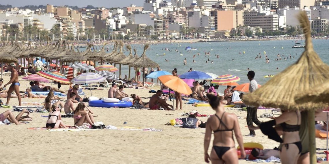 Palma de Majorque : Une touriste de 85 ans se fait mordre par un poisson, la plage évacuée en urgence