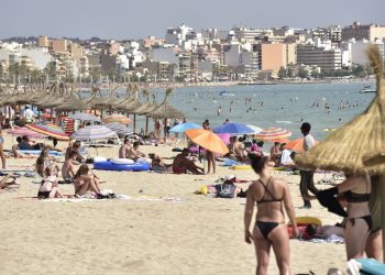 Palma de Majorque : Une touriste de 85 ans se fait mordre par un poisson, la plage évacuée en urgence