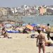 Palma de Majorque : Une touriste de 85 ans se fait mordre par un poisson, la plage évacuée en urgence